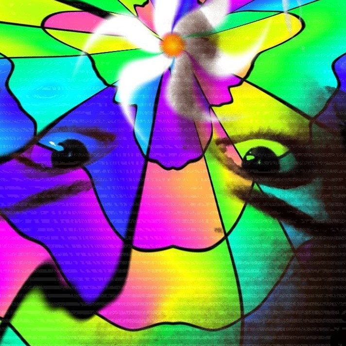 MERAB CORONA 👑:Merab Corona