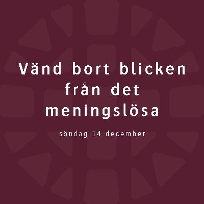 Vänd bort blicken från det meningslösa – Britta Hermansson