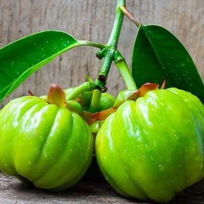 YO ELIJO. Ingredientes en suplementos dietéticos