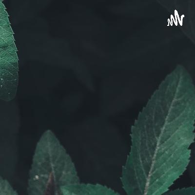 《女教师的晚宴》NJ：南征