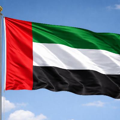 UAE’s nuclear future UAE’s nuclear future