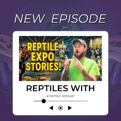 Reptile Expo Stories & The Truth About the Selling Market | Reptiles With Podcast