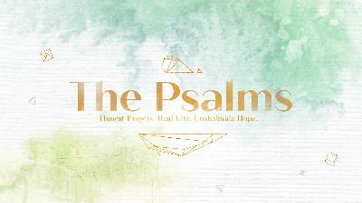 My Relationship with the Bible - Audio