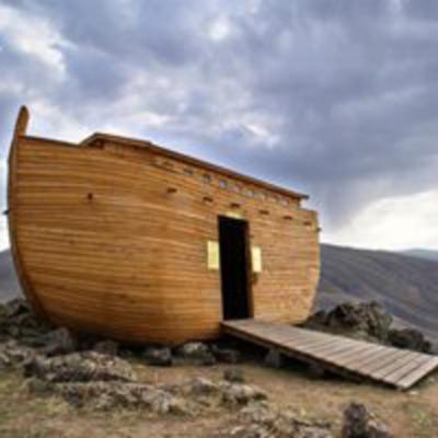 Part 4 Noah’s Compassion