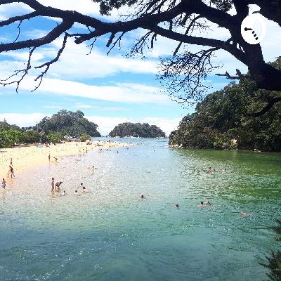 Rub one out with Terry