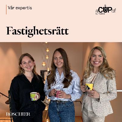 Inom affärsjuridiken: Fastighetsrätt