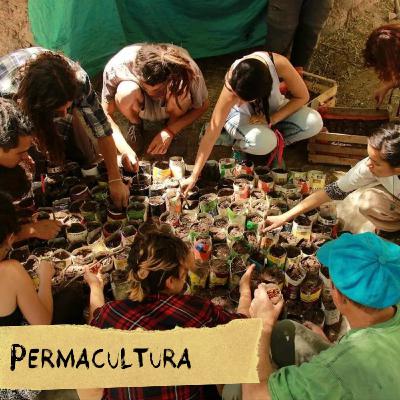 EP 20 - Permacultura