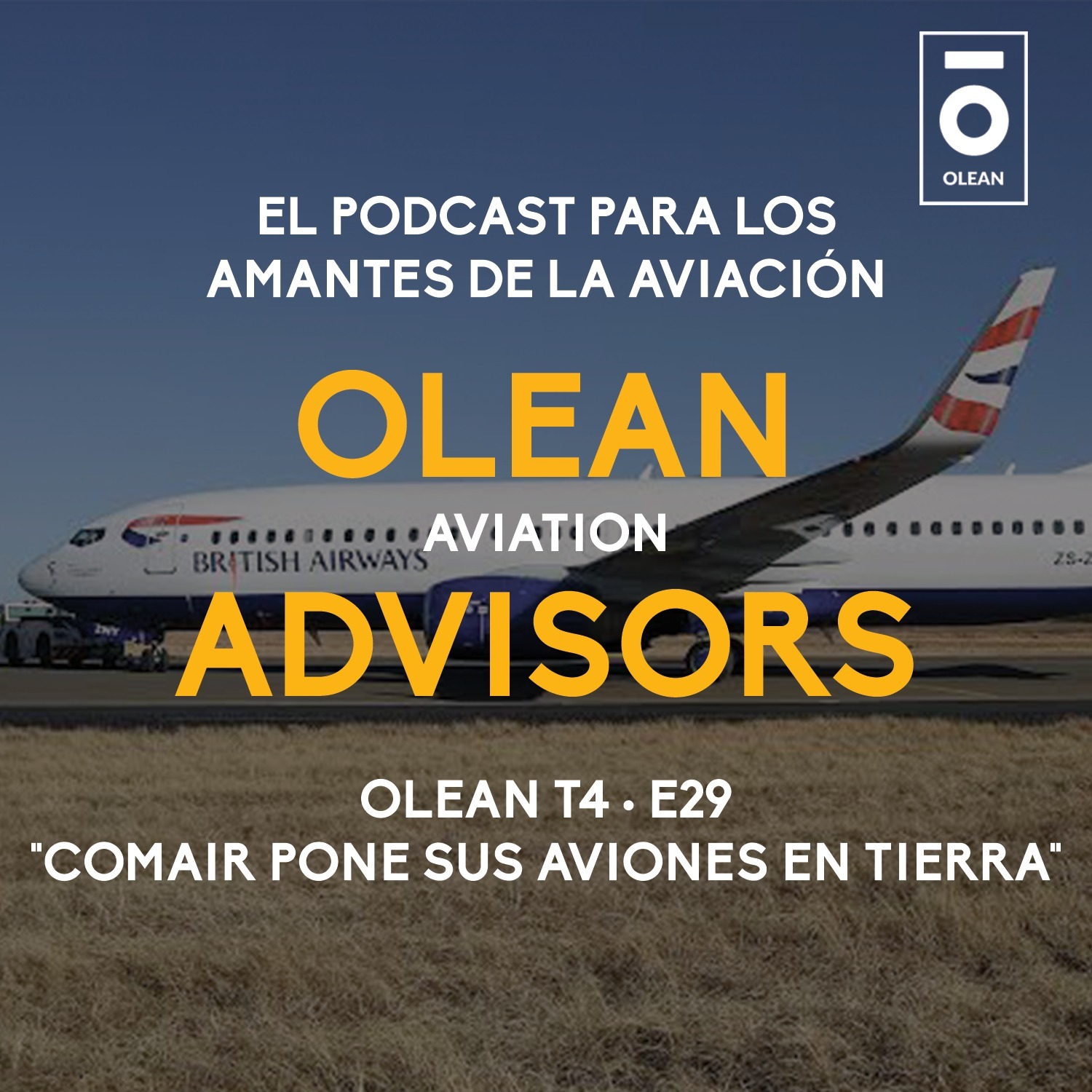 T4 · E29 - Comair pone sus aviones en tierra episode artwork