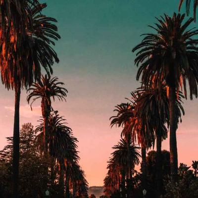 Sunset Heights: Episode 22 - Stanley Swerdlow and Max Kestenbaum