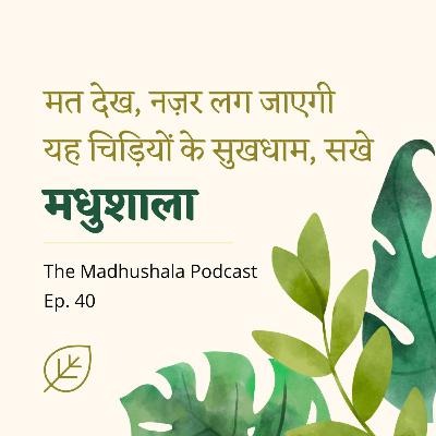 40. Women in Bachchan's life - 'Champa' / मधुशाला में कहानी 'चम्पा' की (Madhushala)