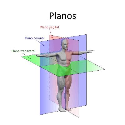 Introdução à Anatomia