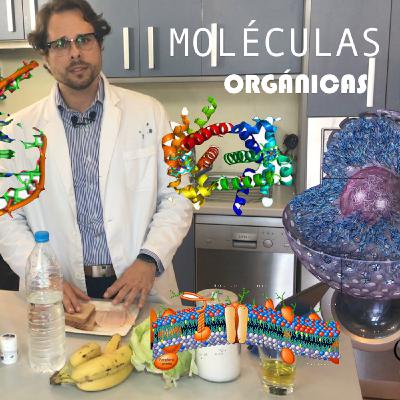 Biomoléculas orgánicas Biomoléculas orgánicas