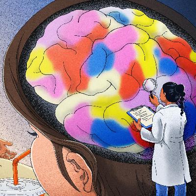 Diary of a teenage brain Diary of a teenage brain