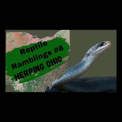 Reptile Ramblings #8: Herping with @ohio.herps