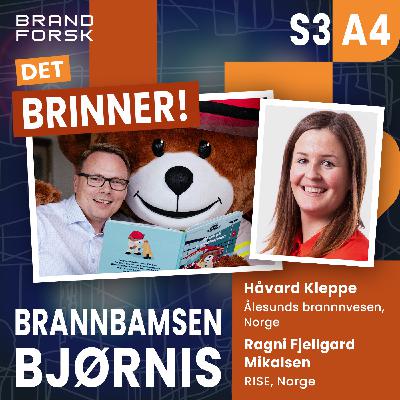 S3 A4 - Brannbamsen Bjørnis