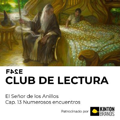 Club de Lectura | El Señor de los Anillos: La Comunidad del Anillo | Numerosos encuentros