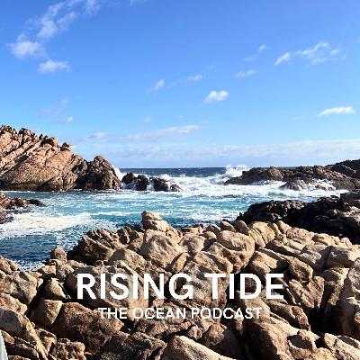 Balancing Wonder and Warning: Dr. Ben Halpern on the Future of Our Oceans