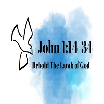 John 1-14-34 | Behold The Lamb of God | Pastor Brian R. Diehl