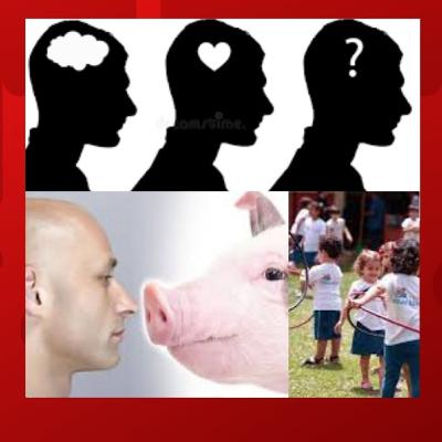 40- Coração de Porco, Pré-Escola, Alma e Cérebro 40- Coração de Porco, Pré-Escola, Alma e Cérebro