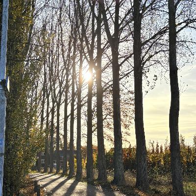 《小插曲-感冒發燒只好按下暫停鍵》去看家醫被稱讚身體做得很棒