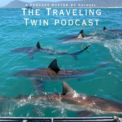 S2: 🦈 🌊 Cage Diving in the Great White Shark Capital of the World ft. Hannah Snyman from White Shark Projects