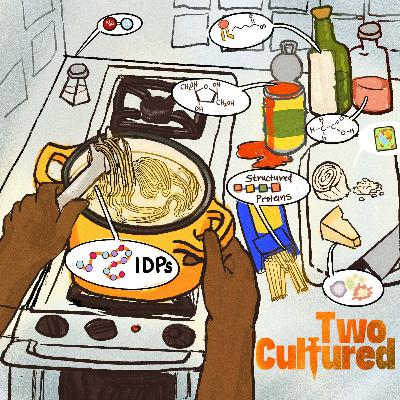 Organized Chaos: Shape-Shifting Proteins and Starting a Lab Organized Chaos: Shape-Shifting Proteins and Starting a Lab