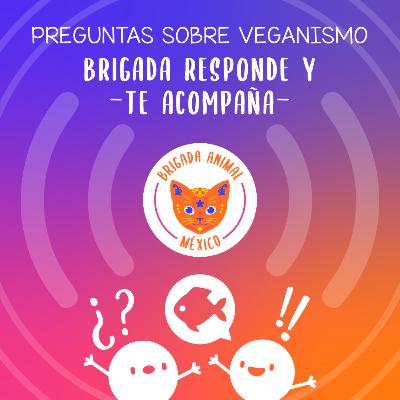 Los éxitos y lo bonito del veganismo en el 2022 - Brigada responde y te acompaña #9