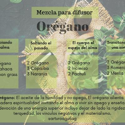 Orégano ”El aceite de la humildad y no apego”