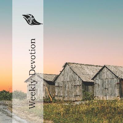 Weekly Devotion: August 11, 2025 "Set Your Minds" Weekly Devotion: August 11, 2025 "Set Your Minds"