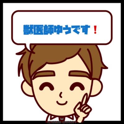 いつの時代も猫は神様