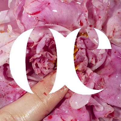 Episode 14 - Sans titre - Maisie Cousins Episode 14 - Sans titre - Maisie Cousins