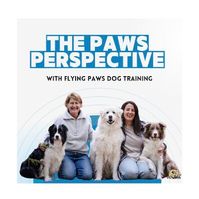 Meet Molly, Pat & Their Dogs | Welcome to The Paws Perspective Podcast