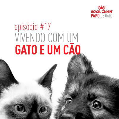 Vivendo com um gato e um cão