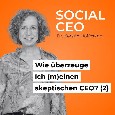 Wie überzeuge ich (m)einen skeptischen CEO? – Teil 2 Wie überzeuge ich (m)einen skeptischen CEO? – Teil 2