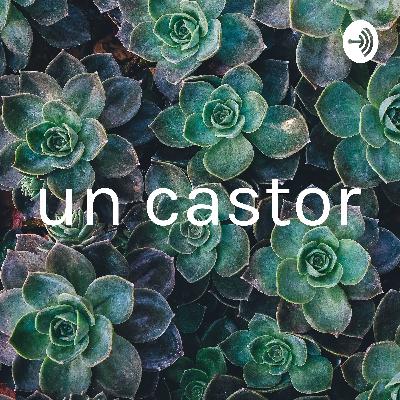 ceci est notre podcast