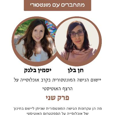 יישום הגישה המונטסורית בקרב אוכלוסייה על הרצף האוטיסטי