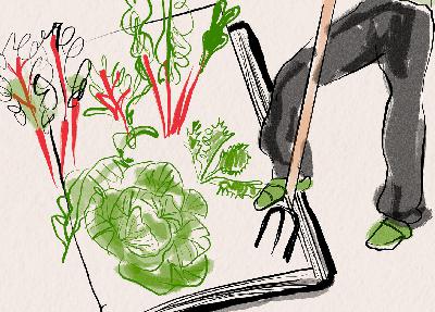 How do you grow a book? with Fiona Williams