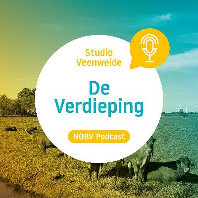 Studio Veenweide - De Verdieping Studio Veenweide - De Verdieping