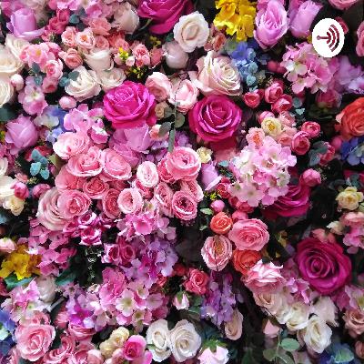 You can do all things by having wisdom and knowledge. You are a winner/ nobody can take it from you! You can do all things by having wisdom and knowledge. You are a winner/ nobody can take it from you!