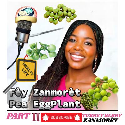 Clarification of Turkey Berry/ Zanmorèt Bon anpil Zanmi mwen yo/ Sorry #PartII