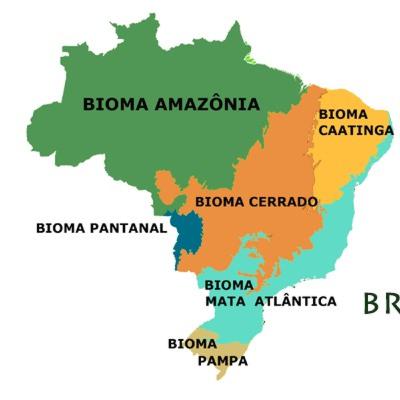 Biomas brasileiros