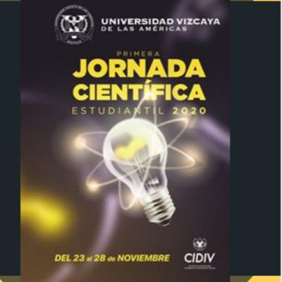 Educación virtual de niños de quinto grado de primaria