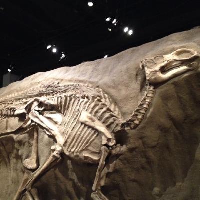 El Parque de los Dinosaurios en Canadá El Parque de los Dinosaurios en Canadá