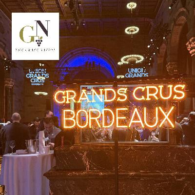 2023 Bordeaux 2023 Bordeaux