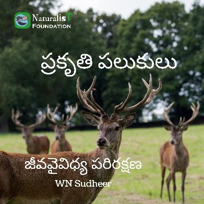 జీవవైవిధ్య పరిరక్షణ