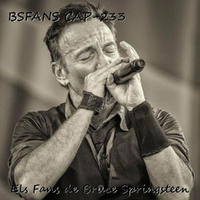 BSFANS CAP-233 En blanco y negro