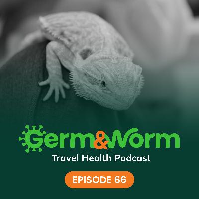 66: Will You Play with a Bearded Dragon?