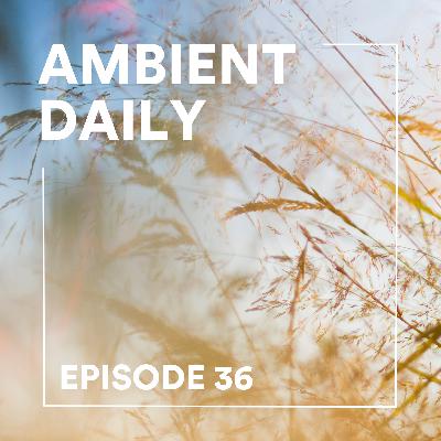 Episode 36 - Summer Breeze