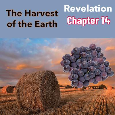 PODCAST - The Harvest of The Earth - Revelation 14 PODCAST - The Harvest of The Earth - Revelation 14