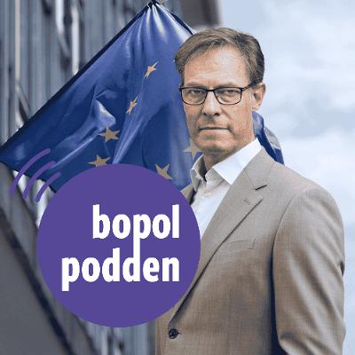 #295 Lindvall om nya EU-planen: ”Svenska politiker bestämmer vad som faktiskt genomförs i Sverige”